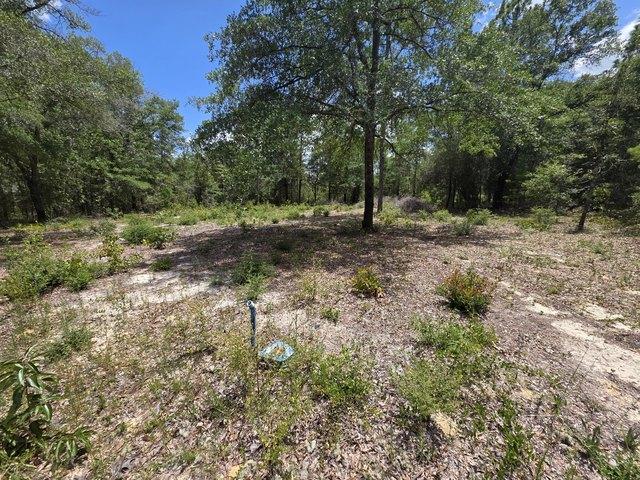 Land for sale in Walton, Florida