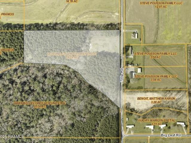Farm for sale in Iota, Louisiana