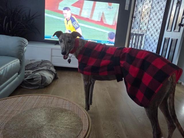 Room for rent in Gosford, New South Wales