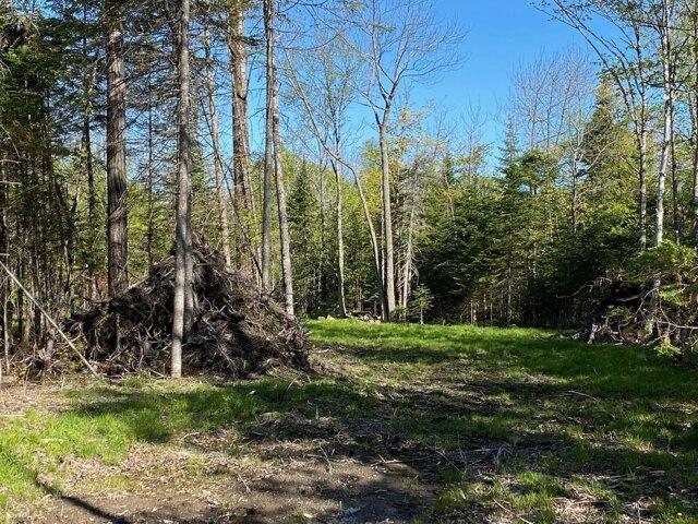 Land for sale in Greenville, Maine