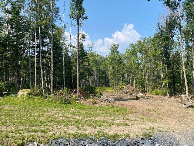 Land for sale in Greenville, Maine