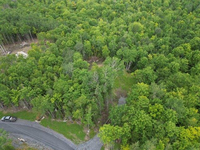 Land for sale in Greenville, Maine