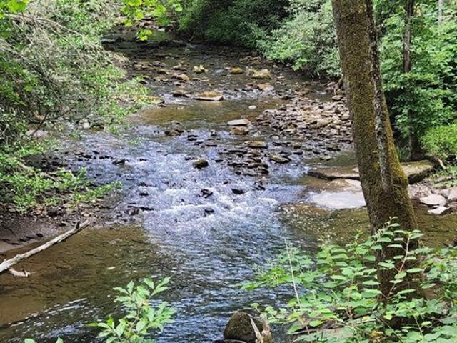 Land for sale in Tennessee