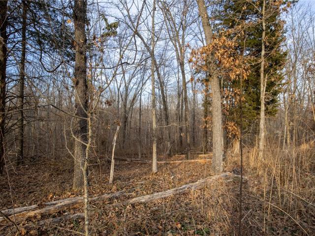Land for sale in Ark