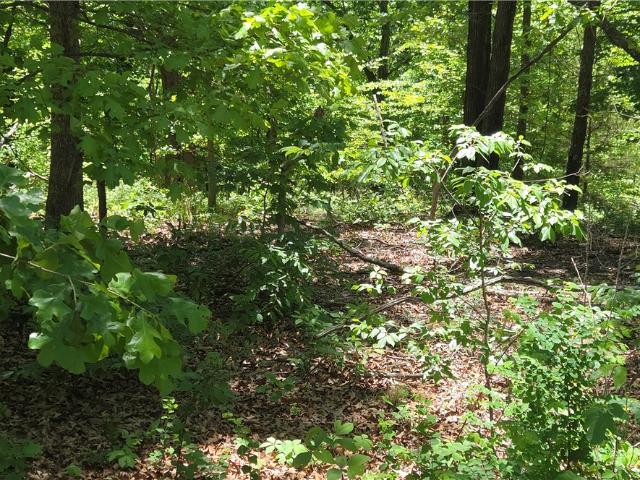 Land for sale in Ark