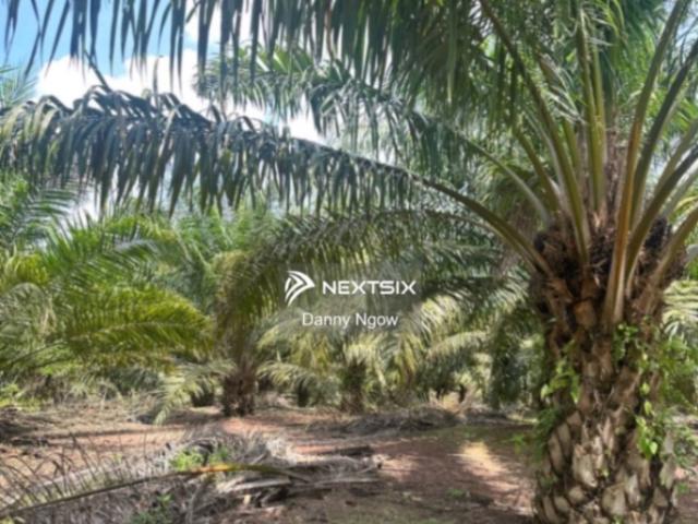 Residential House for sale in Johor