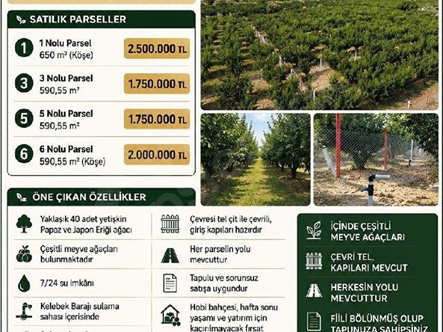 Derbent, Turgutlu içerisinde satılık mülk
