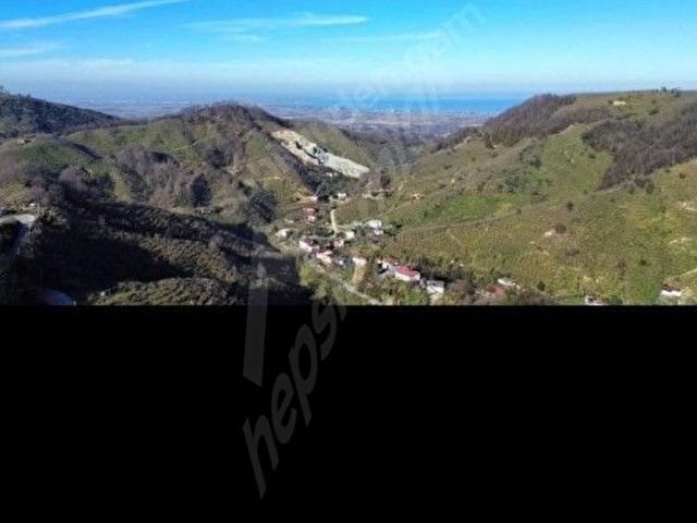Kiraztepe Mahallesi, İkizce içerisinde satılık mülk