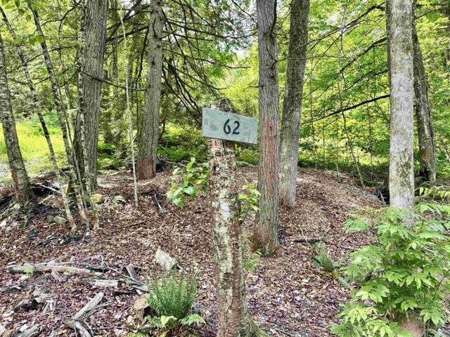 Land for sale in Tunbridge, Vermont
