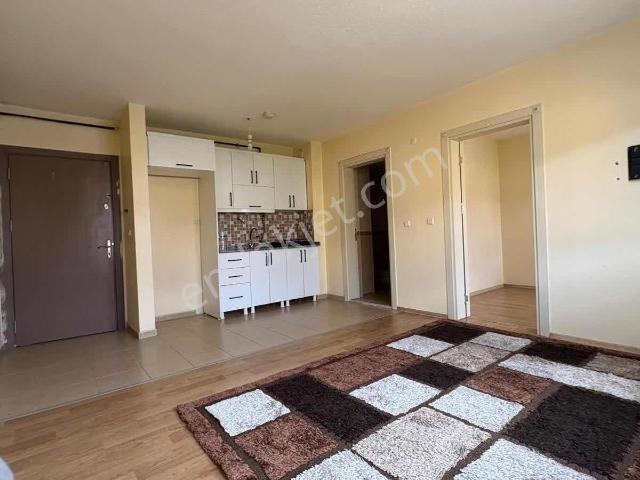 Erzincan Merkez, Erzincan içerisinde kiralık mülk