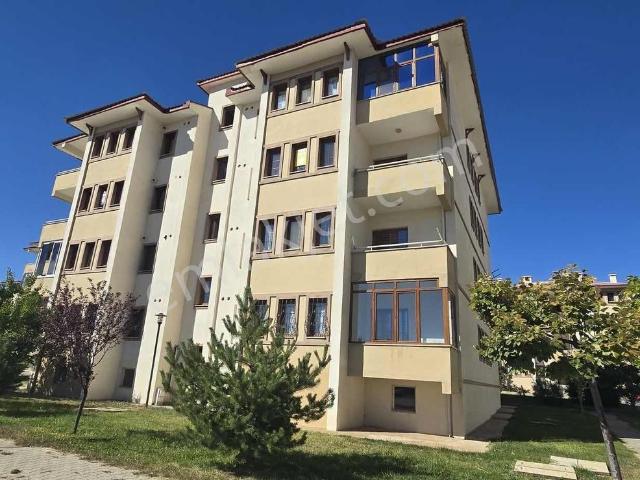 Erzincan Merkez, Erzincan içerisinde kiralık mülk