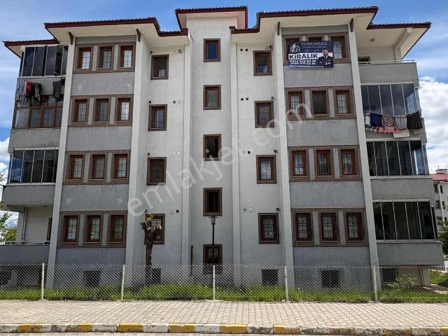 Erzincan Merkez, Erzincan içerisinde kiralık mülk