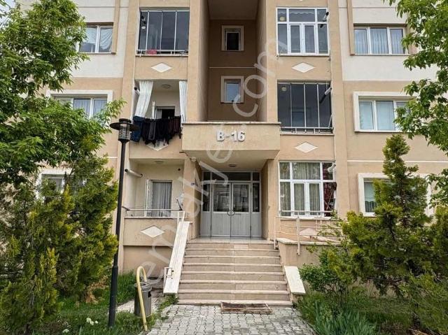 Erzincan Merkez, Erzincan içerisinde kiralık mülk