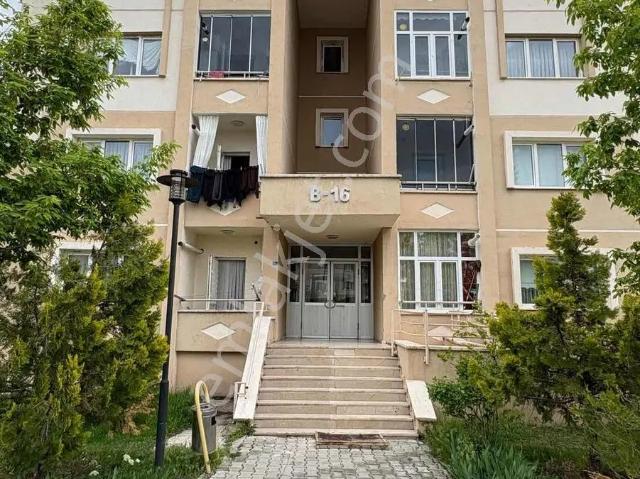 Erzincan Merkez, Erzincan içerisinde kiralık mülk