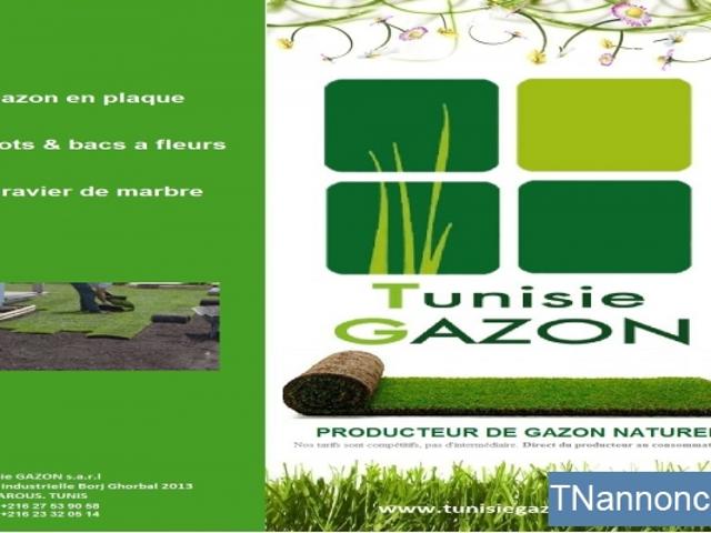 Propriété vente