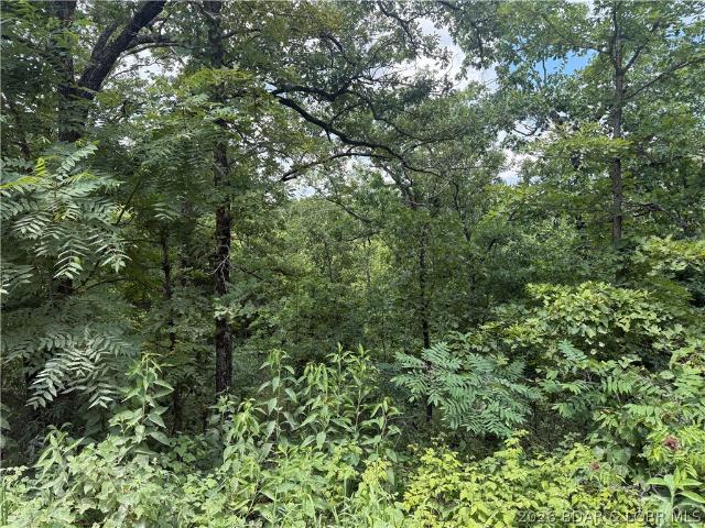 Land for sale in Macks Creek, Missouri