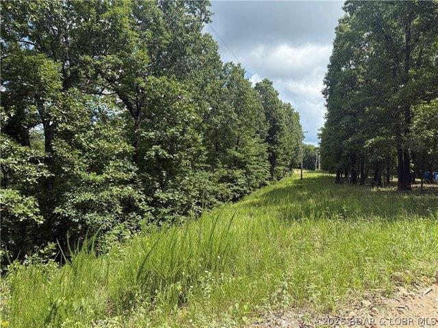 Land for sale in Macks Creek, Missouri