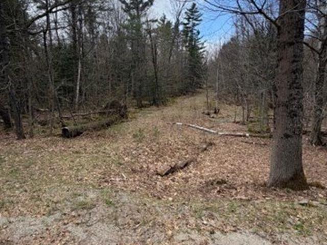 Land for sale in Rowe, Massachusetts