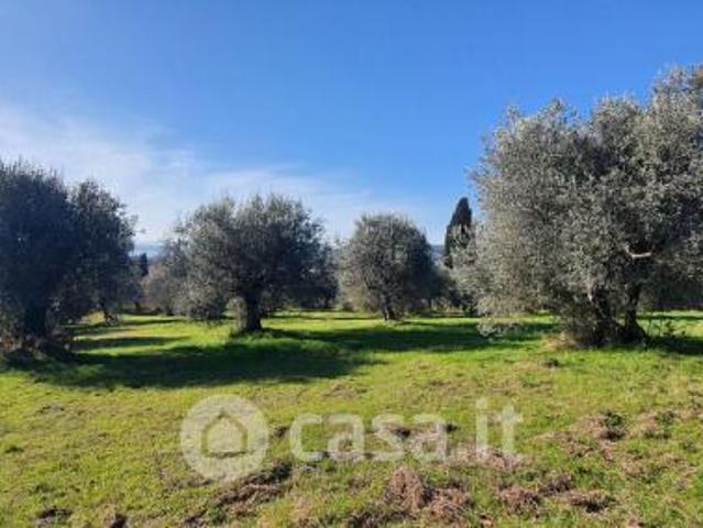 Terreno in vendita a Tuoro Sul Trasimeno, Umbria