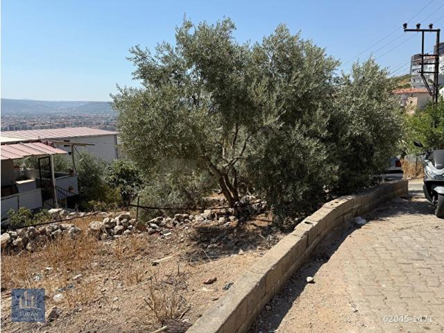 Milas, Muğla içerisinde satılık Arsa