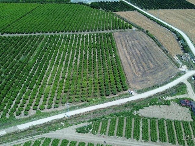 Tarsus, Mersin içerisinde satılık mülk