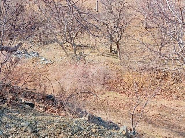 Pozanti, Adana içerisinde satılık mülk