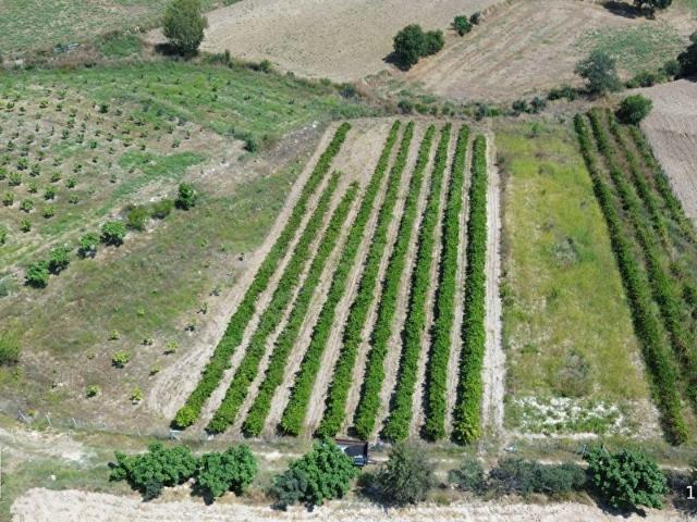 Alibeyli, Tarsus içerisinde satılık mülk