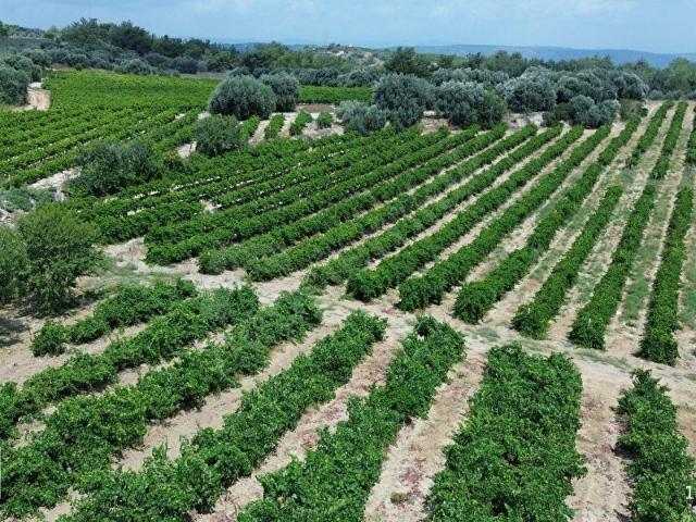 Tarsus, Mersin içerisinde satılık mülk