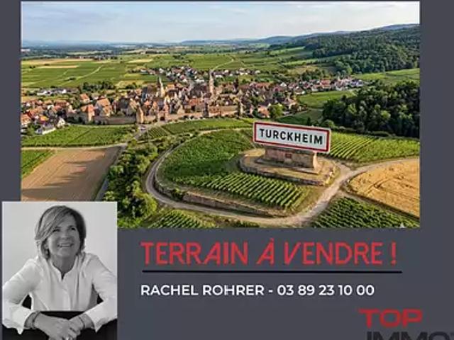 Terrain vente à Colmar-Ribeauvillé, Turckheim