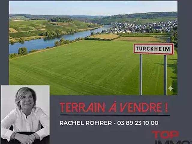 Terrain vente à Colmar-Ribeauvillé, Turckheim