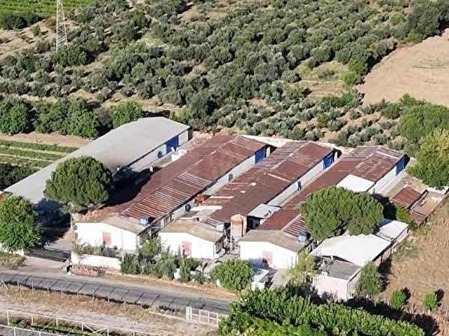 Derbent, Turgutlu içerisinde satılık Fabrika