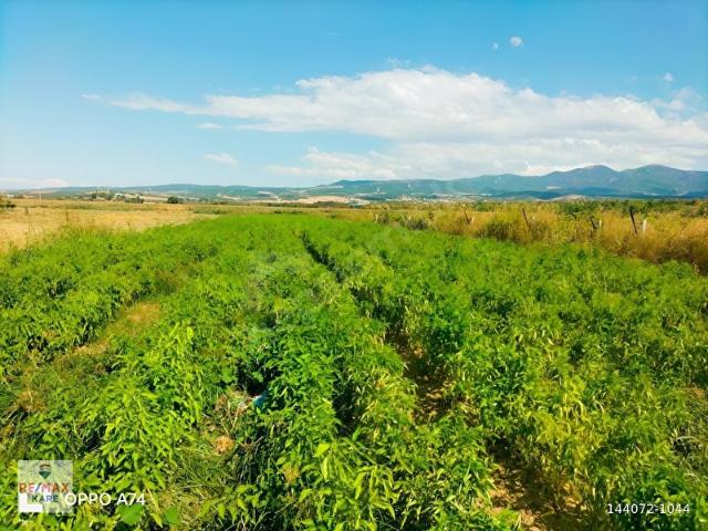 Sinirli, Turgutlu içerisinde satılık Arsa