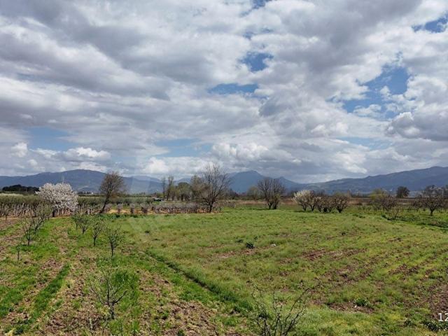 Pamukova, Sakarya içerisinde satılık Arsa