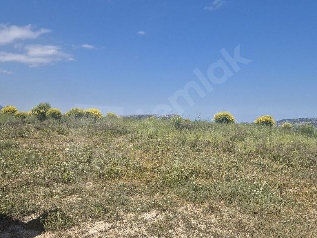 Kumluca, Antalya içerisinde satılık Arsa