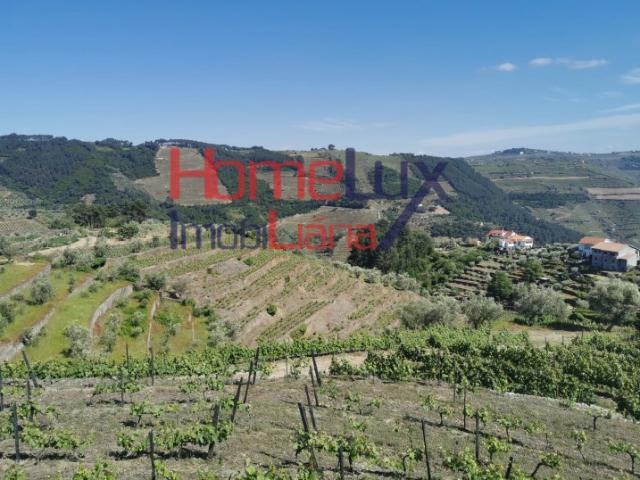 Quinta venda em Santa Marta De Penaguião, Vila Real