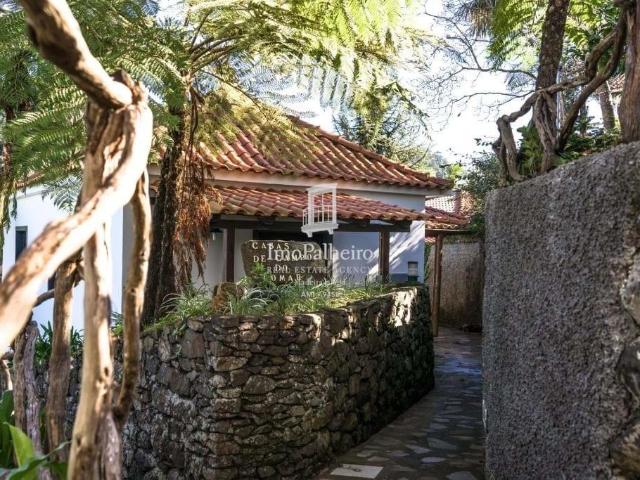 Loja venda em Lombo do Curral, Santana