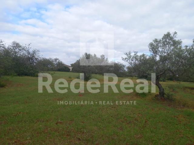 Quinta venda em Alto Relógio, Loulé