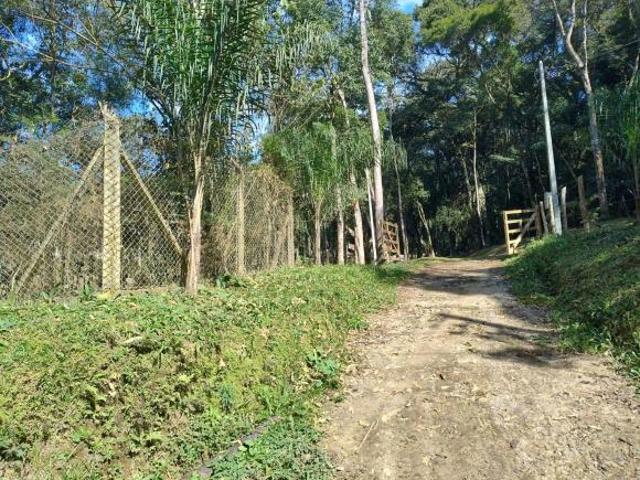 Sítio e chácara venda em Região Geográfica Imediata de Curitiba, Região Metropolitana de Curitiba