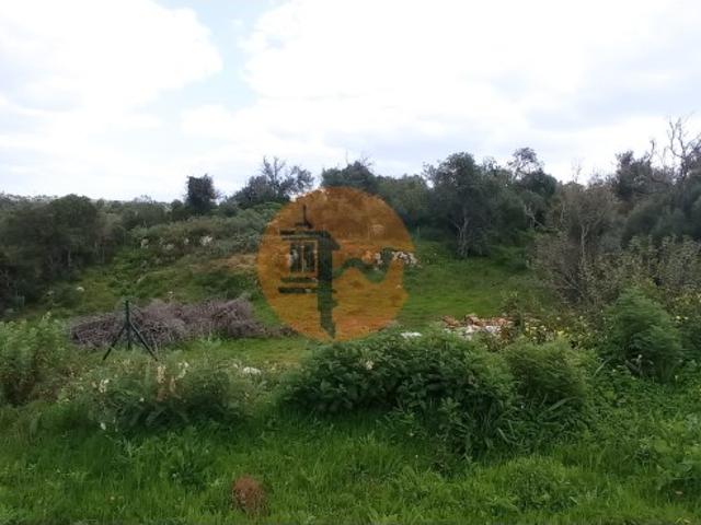 Turismo venda em Albufeira, Vale Rabelho