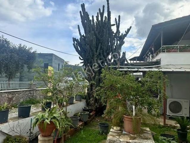 Bodrum, Muğla içerisinde kiralık mülk
