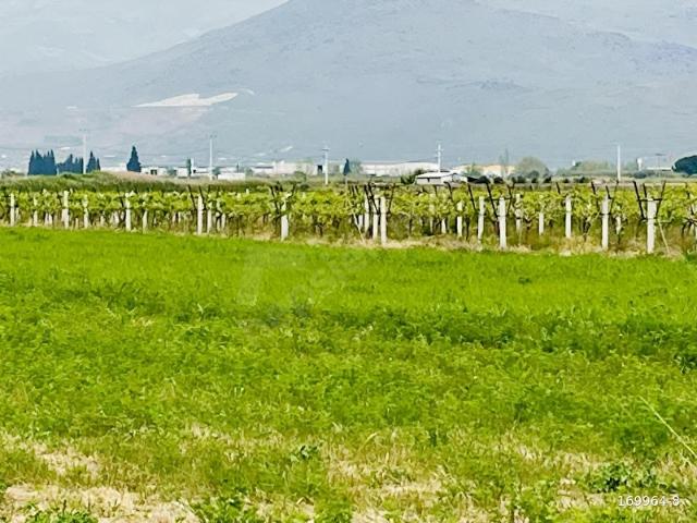 Menemen, İzmir içerisinde satılık Arsa