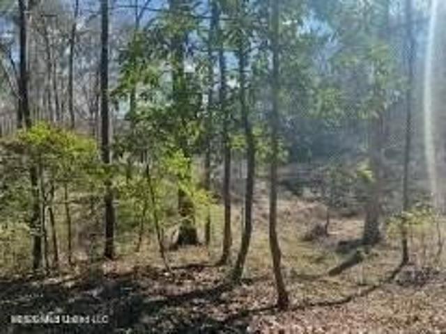 Land for sale in Natchez, Adams County