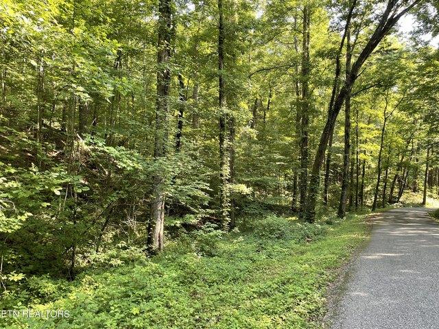 Land for sale in Tennessee