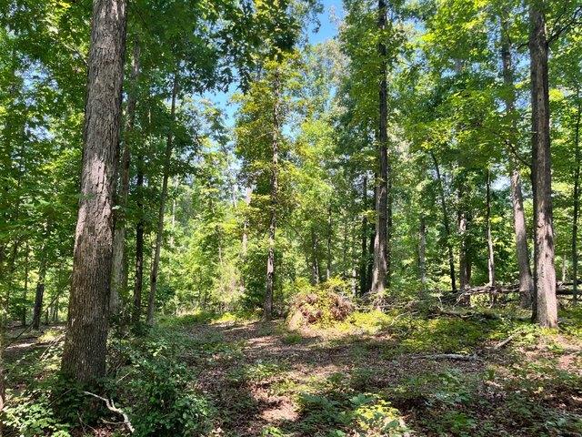 Land for sale in Ware Shoals, South Carolina