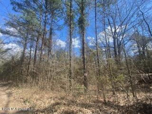 Land for sale in Natchez, Adams County