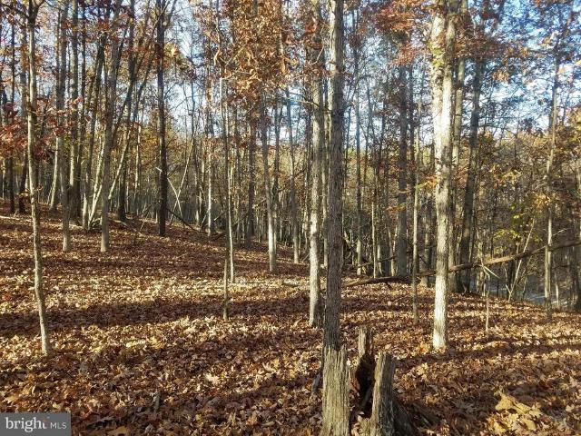 Land for sale in Romney, West Virginia