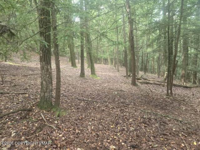 Land for sale in Polk Township, Monroe County