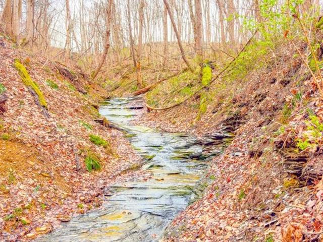 Land for sale in Ross, Ohio