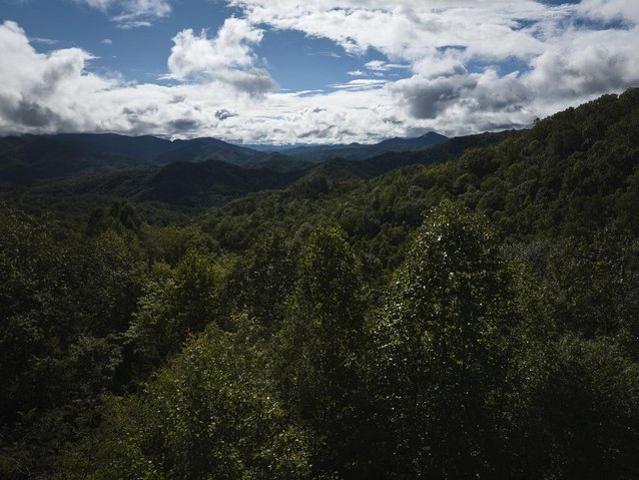 Land for sale in Bryson City, Swain County