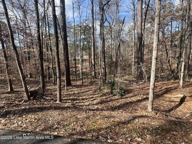 Land for sale in Tallapoosa, Alabama